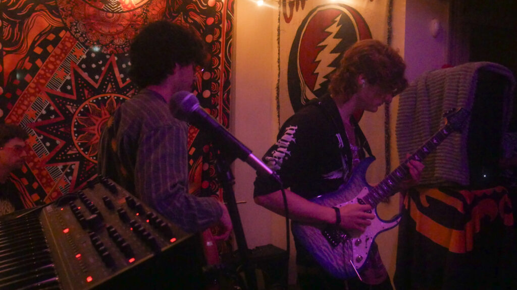 Two Paratopia members during a live session.